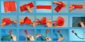 Как сделать гвоздики из салфеток своими руками?